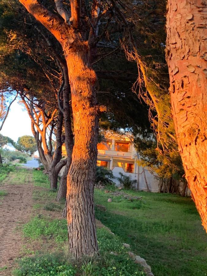 Mediterraneo Triscina 外观 照片
