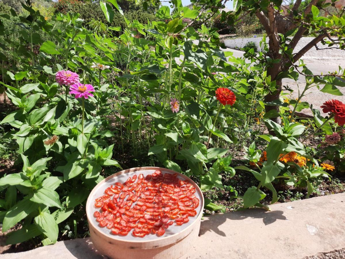 Mediterraneo Triscina 外观 照片
